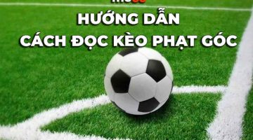 Hiểu về kèo phạt góc và cách chơi tất thắng