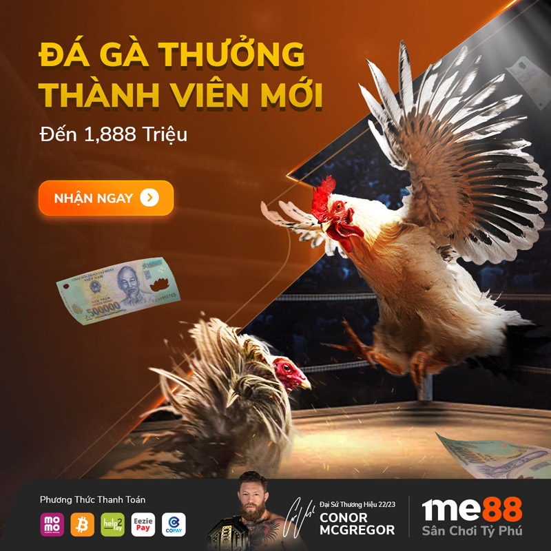 Khuyến Mãi Đá Gà Thưởng Thành Viên Mới 10%