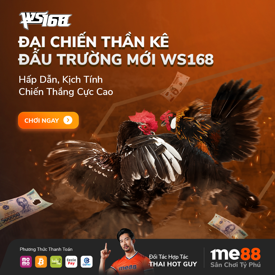 Hướng dẫn cách chơi đá gà WS168 tại Me88